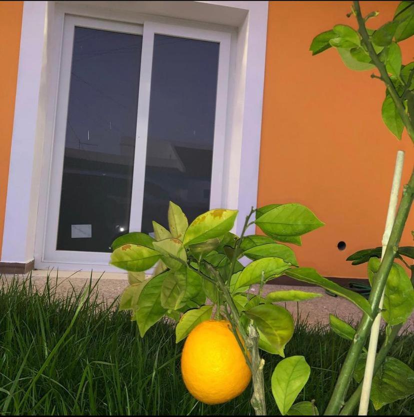 Orange Guest House Sagres Exterior photo