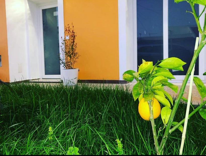 Orange Guest House Sagres Exterior photo